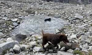 Bergtour Wildenkogel - Abstieg