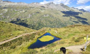 Bergtour Wildenkogel - Abstieg, beim Auge Gottes