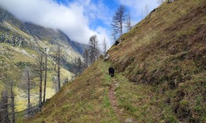 Bergtour Finsterkarspitze - Aufstieg Neue Reichenbergerhütte