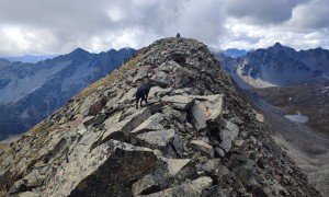 Bergtour Finsterkarspitze - kurz vor dem Kesselpater