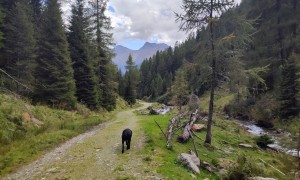 Bergtour Finsterkarspitze - Rückweg, mit Blick zur Roten und Weißen Spitze