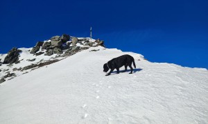 Bergtour Sailkopf - Schlussaufstieg