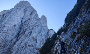 Klettersteig Donnerkogel - im Steig, kurz vor der 40m-Riesenleiter