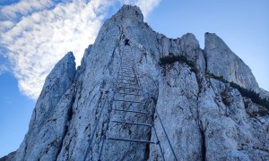 Klettersteig Donnerkogel - bei der 40m-Riesenleiter