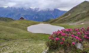 Bergtour Speikboden - Abstieg Zupalseehütte