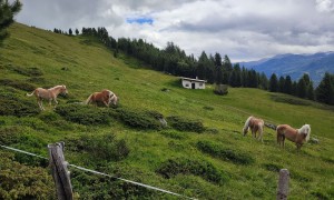 Bergtour Speikboden - Abstieg