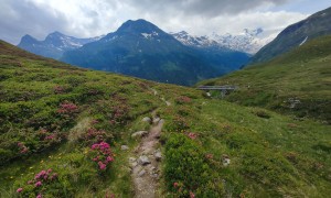 Bergtour Tauernkogel - Abstieg entlang des Tauernbachs