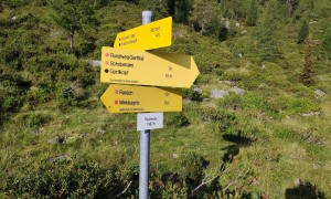 Bergtour Großer Friedrichskopf - Aufstieg, Fleckmoos