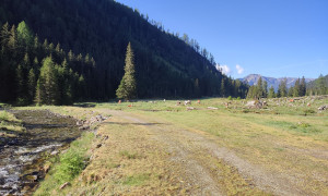 Bergtour Großes Reißeck - Zustieg über Zandlacher Boden Bergtour Großes Reißeck - Zustieg über Zandlacher Boden