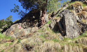 Bergtour Großes Reißeck - seilversicherter Aufstieg mit Leitern Bergtour Großes Reißeck - seilversicherter Aufstieg mit Leitern