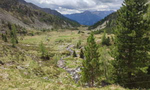 Bergtour Großes Reißeck - Almboden bei der unteren Mooshütte Bergtour Großes Reißeck - Almboden bei der unteren Mooshütte