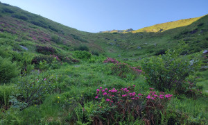 Bergtour Hörndl - Aufstieg