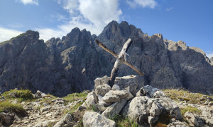 Bergtour Haunoldköpfl - Gipfelsieg mit Blick zum Haunold