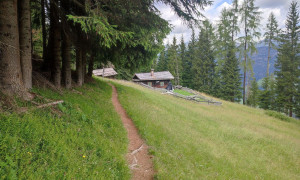 Bergtour Haunoldköpfl - Abstieg bei der Innichner Alm