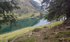 Bergtour Säntis - Abstieg mit Blick zum Seealpsee