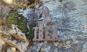 Klettersteig IBEX - im Steig